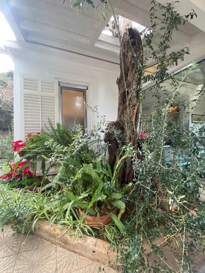 Appartamento La Torretta モンデッロ エクステリア 写真